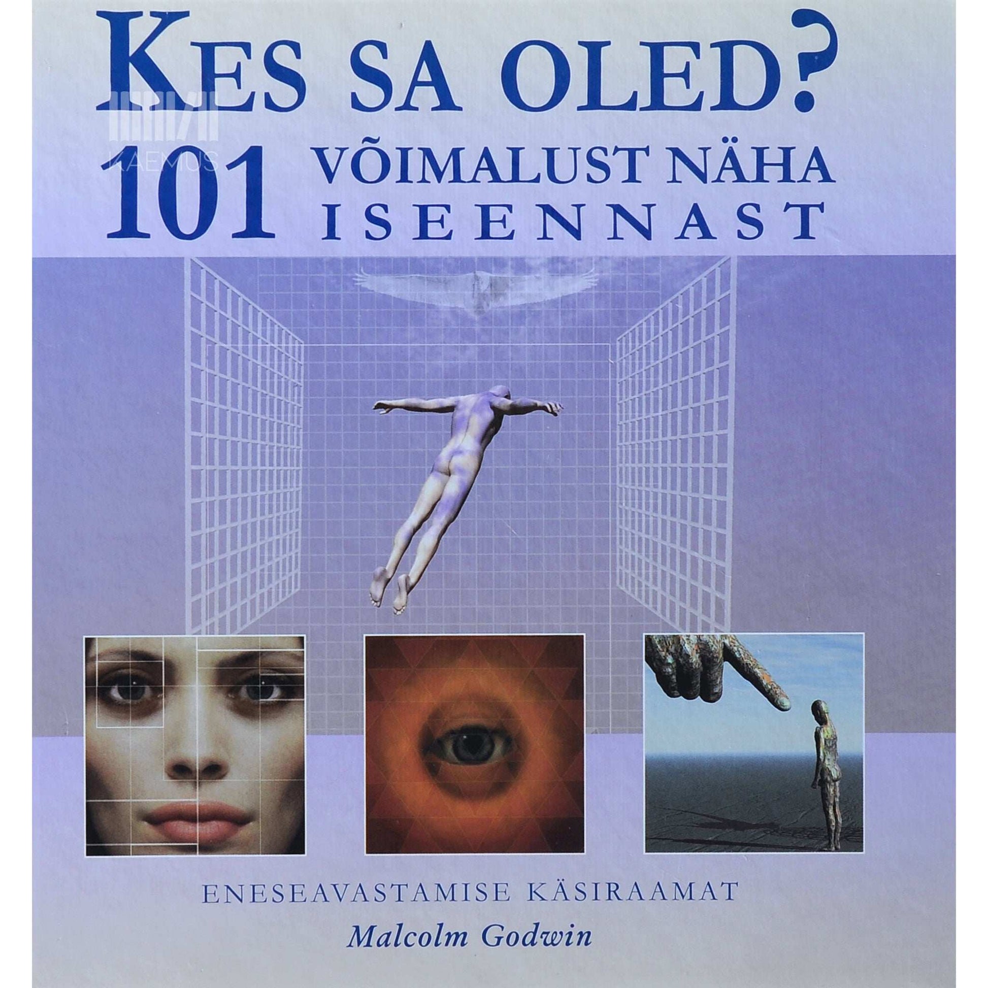 Malcolm Godwin - Kes sa oled? 101 võimalust näha iseennast. Eneseavastamise käsiraamat
