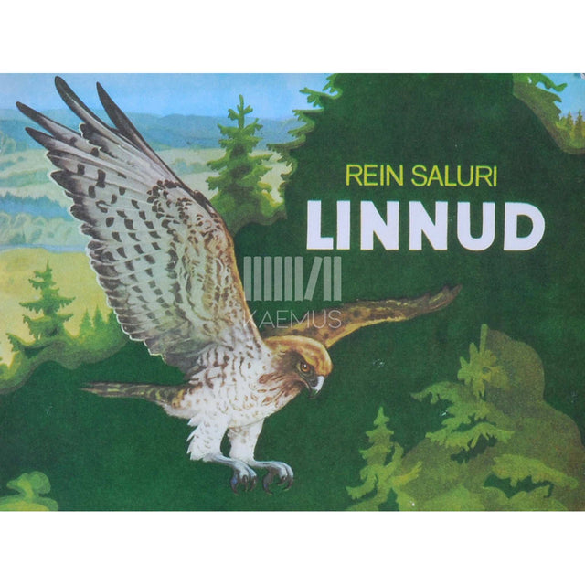 Rein Saluri - Linnud