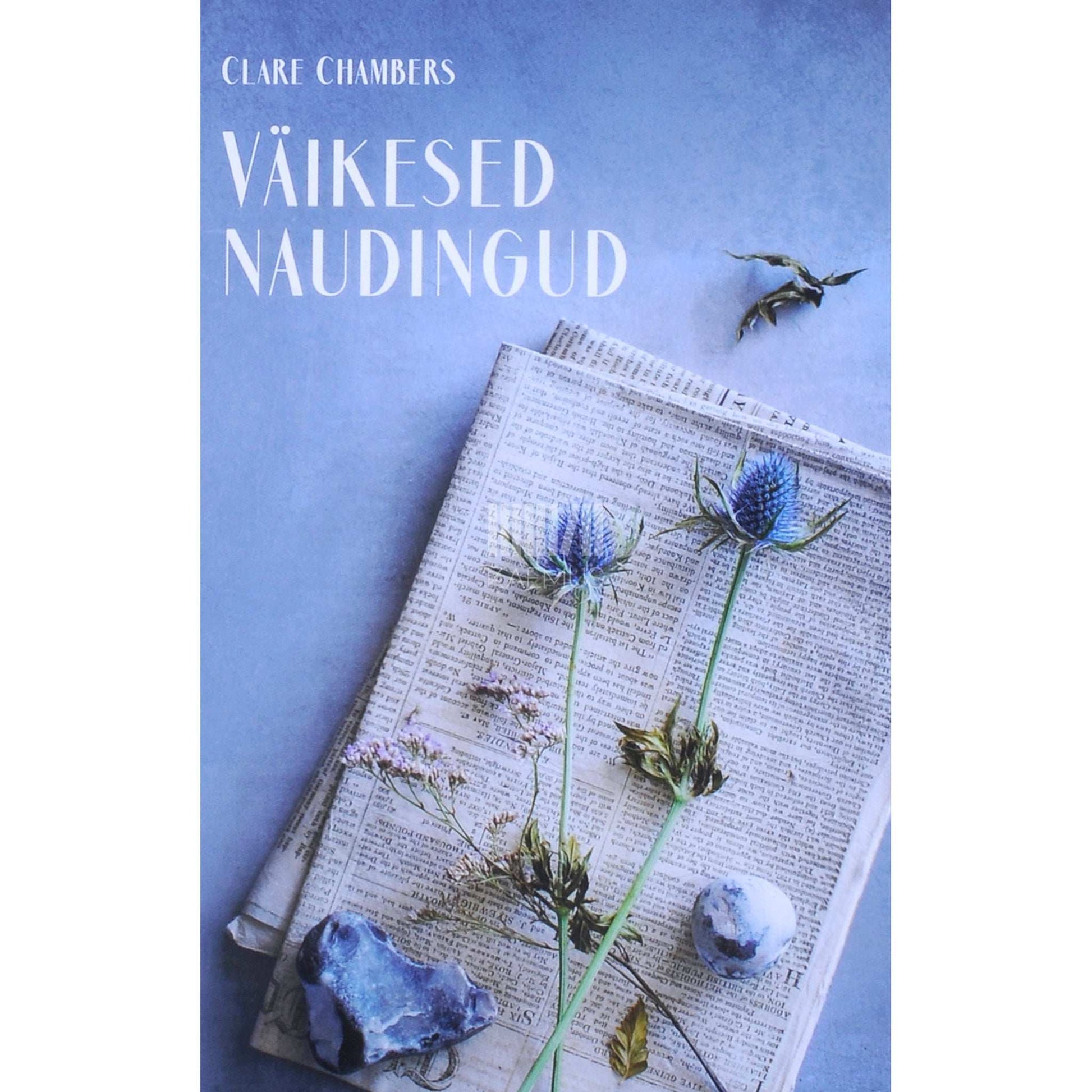 Clare Chambers - Väikesed naudingud