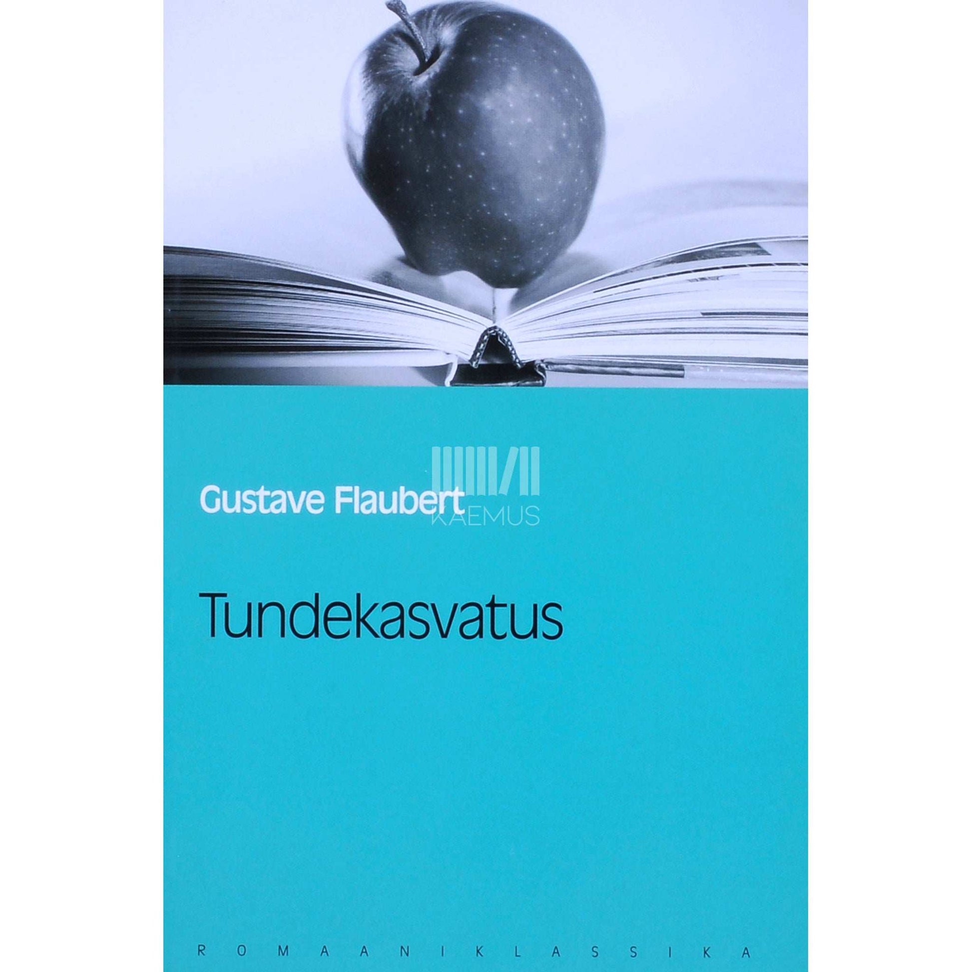 Gustave Flaubert - Tundekasvatus. Ühe noormehe lugu