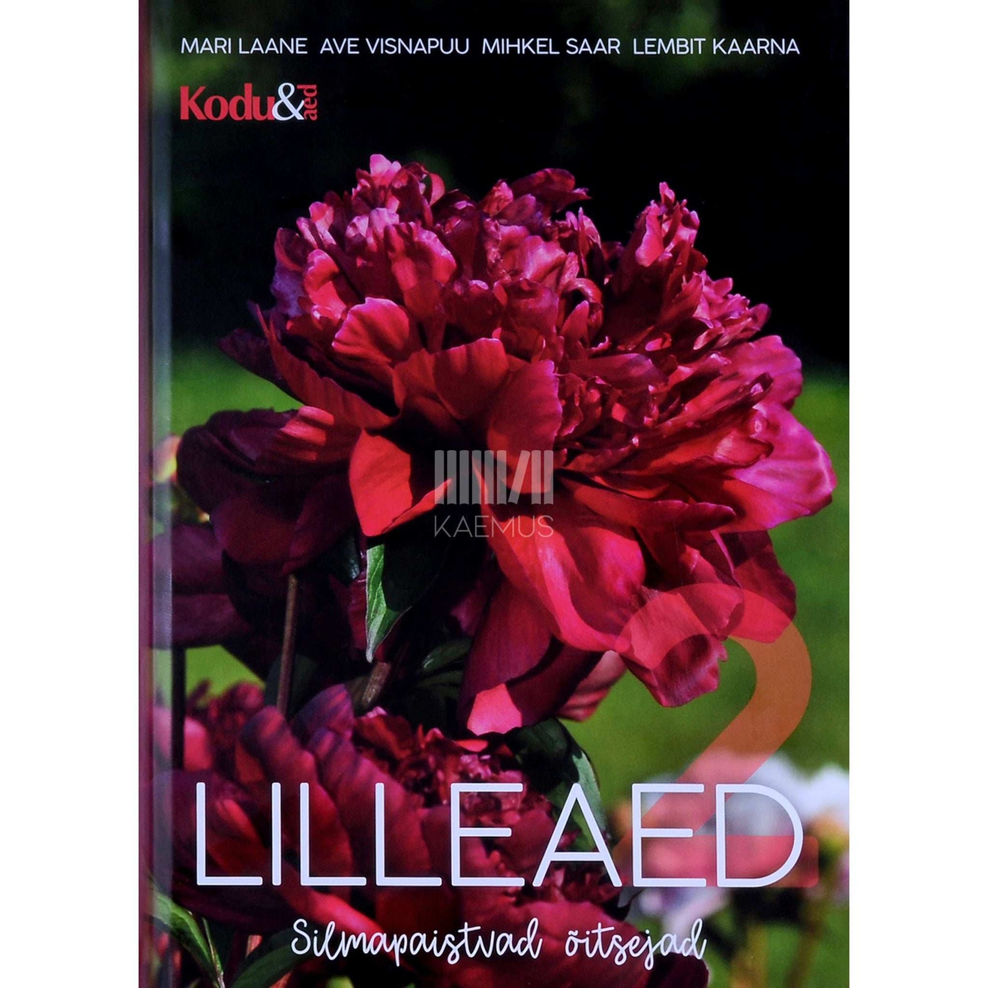 ... - Lilleaed. Silmapaistvad õitsejad 2. osa