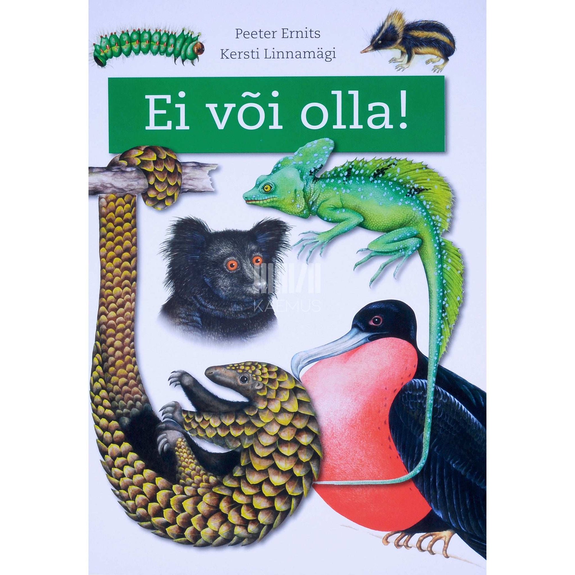 Peeter Ernits - Ei või olla!
