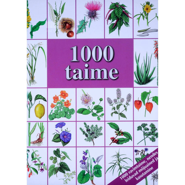 Hans W. Kothe - 1000 taime