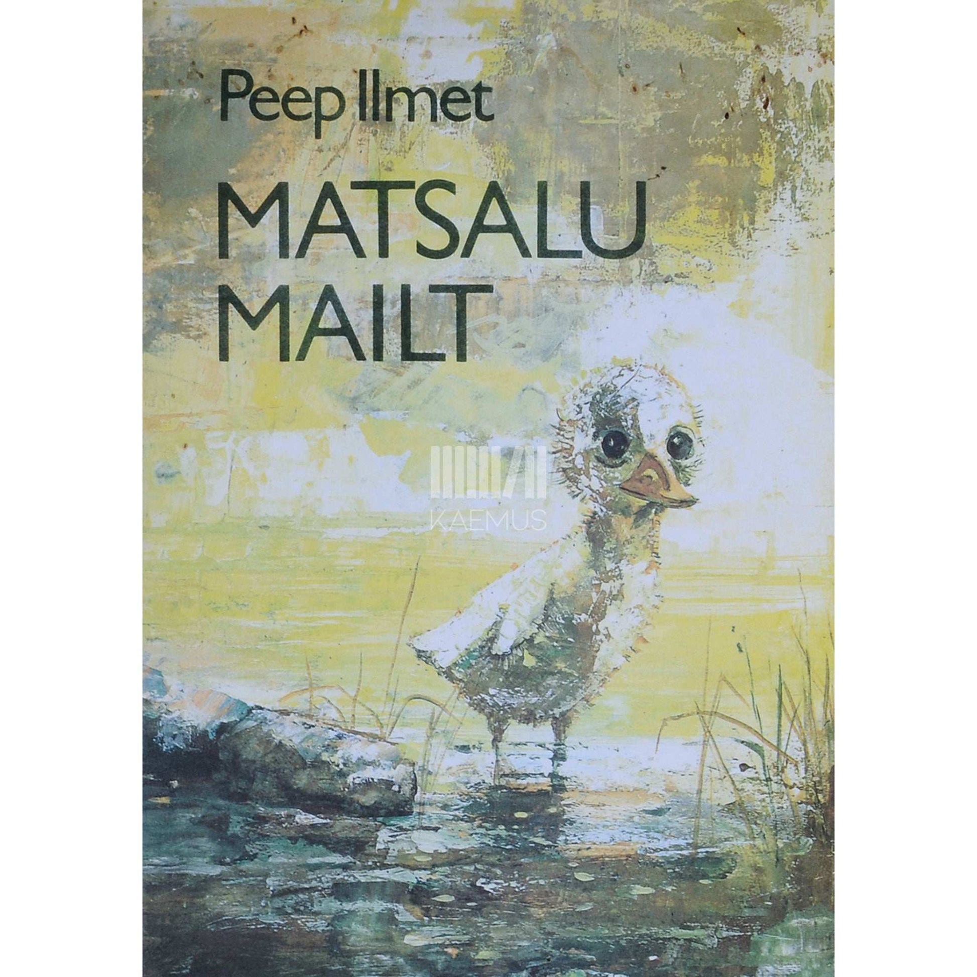 Peep Ilmet - Matsalu mailt