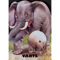 Eve Osa Vants