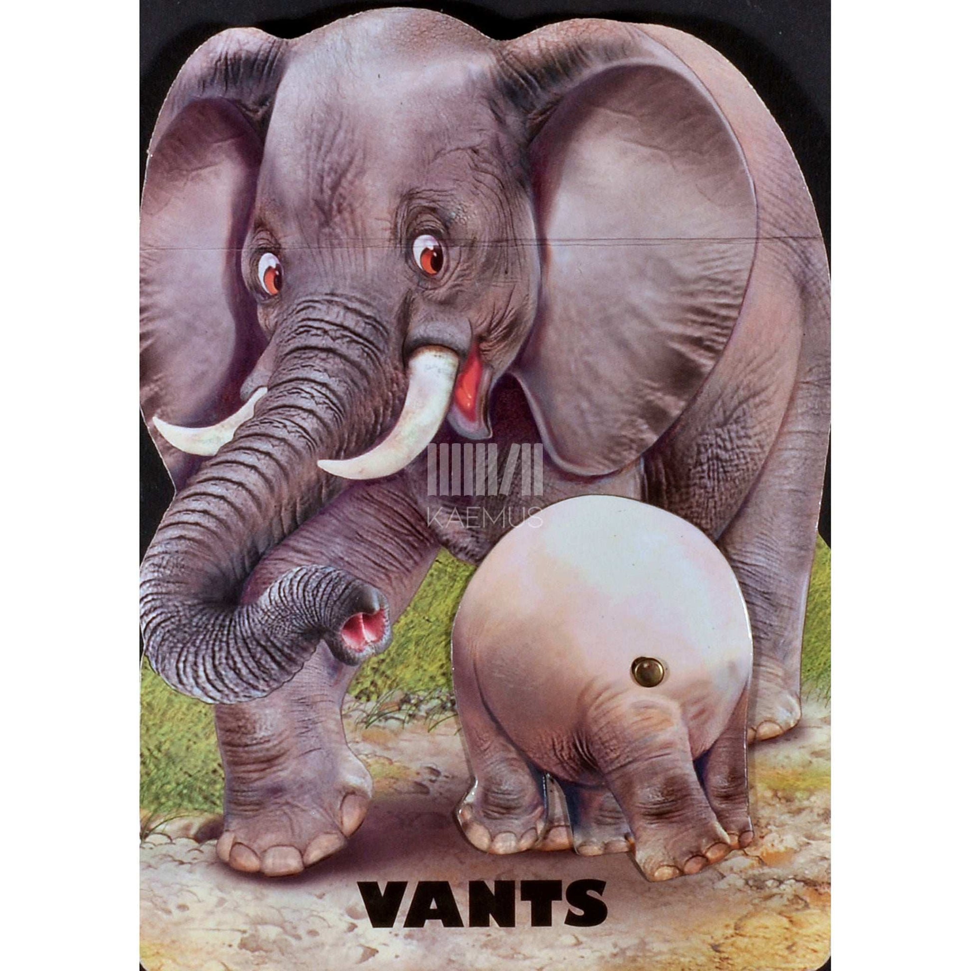 Eve Osa - Vants