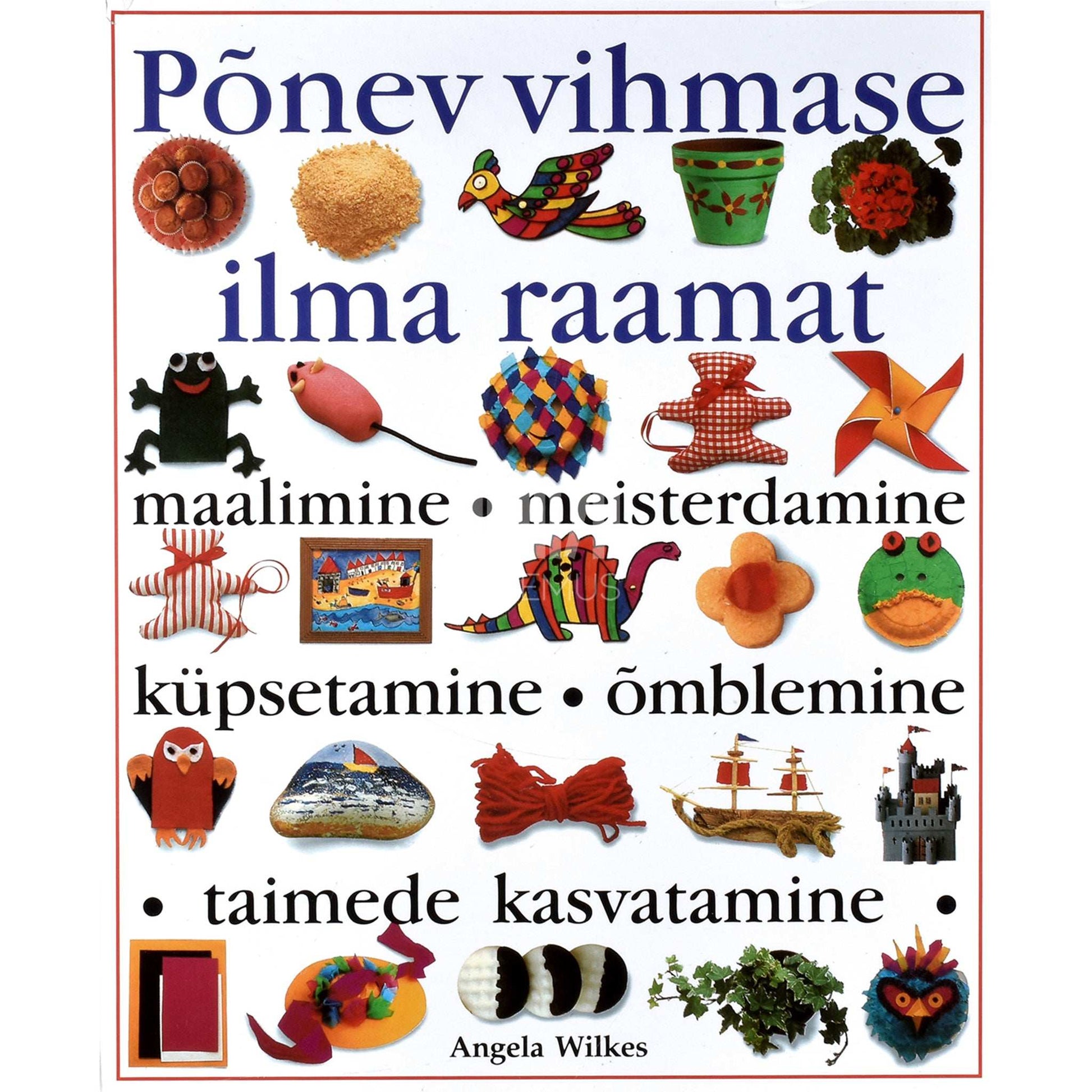 Angela Wilkes - Põnev vihmase ilma raamat. Rohkem kui 60 tööjuhendit