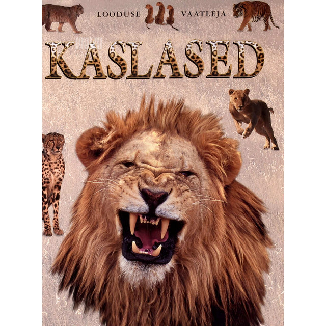 Rhonda Klevansky - Kaslased