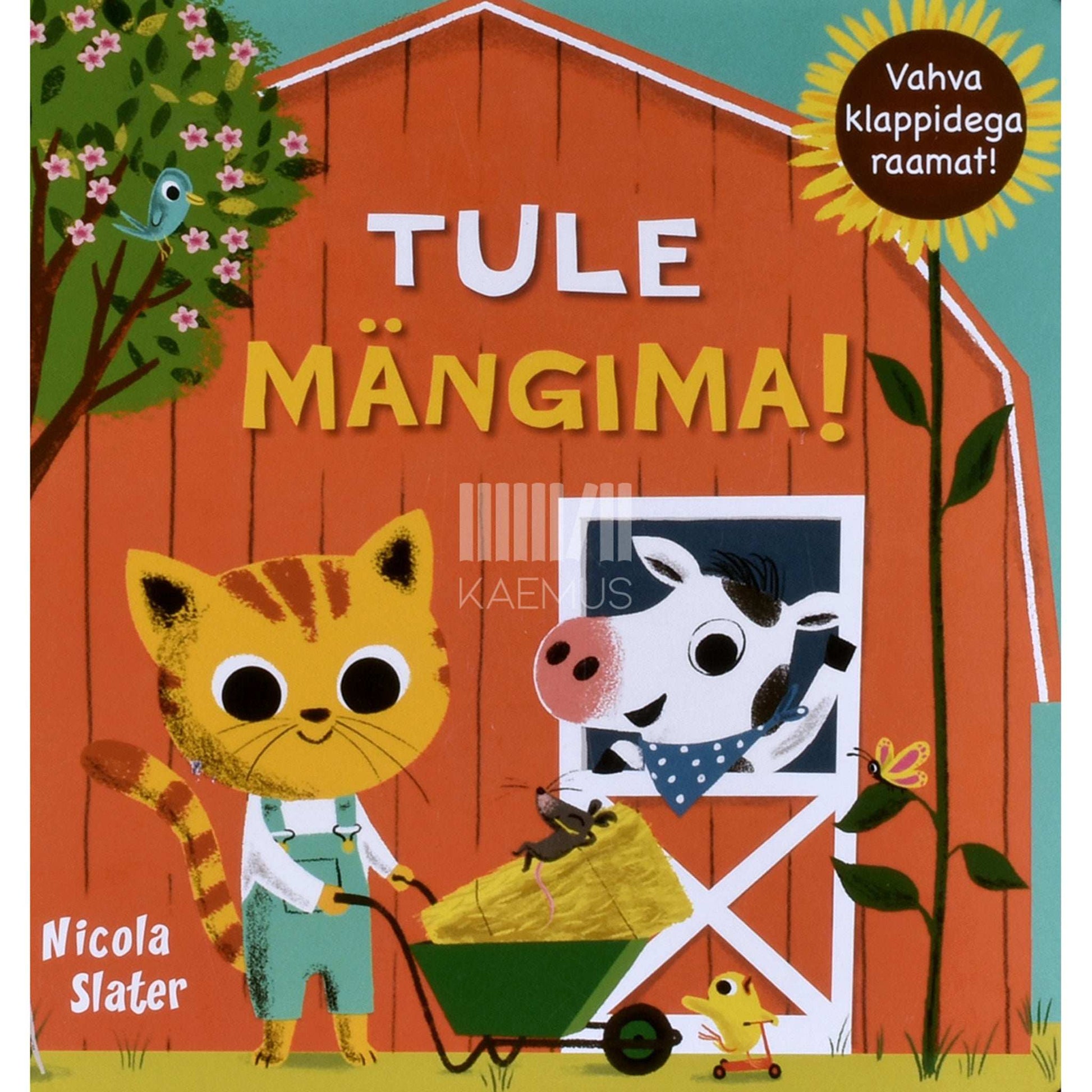 Nicola Slater - Tule mängima! Vahva klappidega raamat!