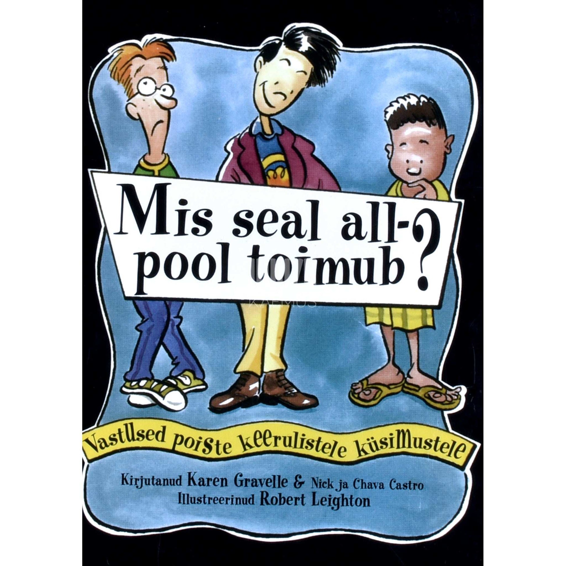 Chava Castro, Nick Castro, Karen Gravelle - Mis seal allpool toimub?. Vastused poiste keerulistele küsimustele