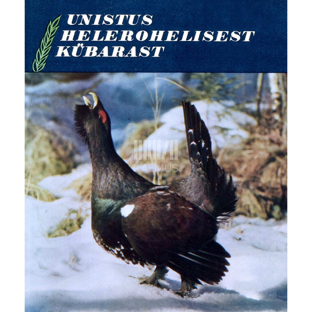 ... - Unistus helerohelisest kübarast. Loodus pildis ja luules. Fotoalbum