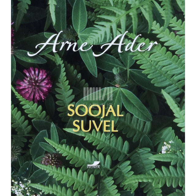 Arne Ader - Soojal suvel