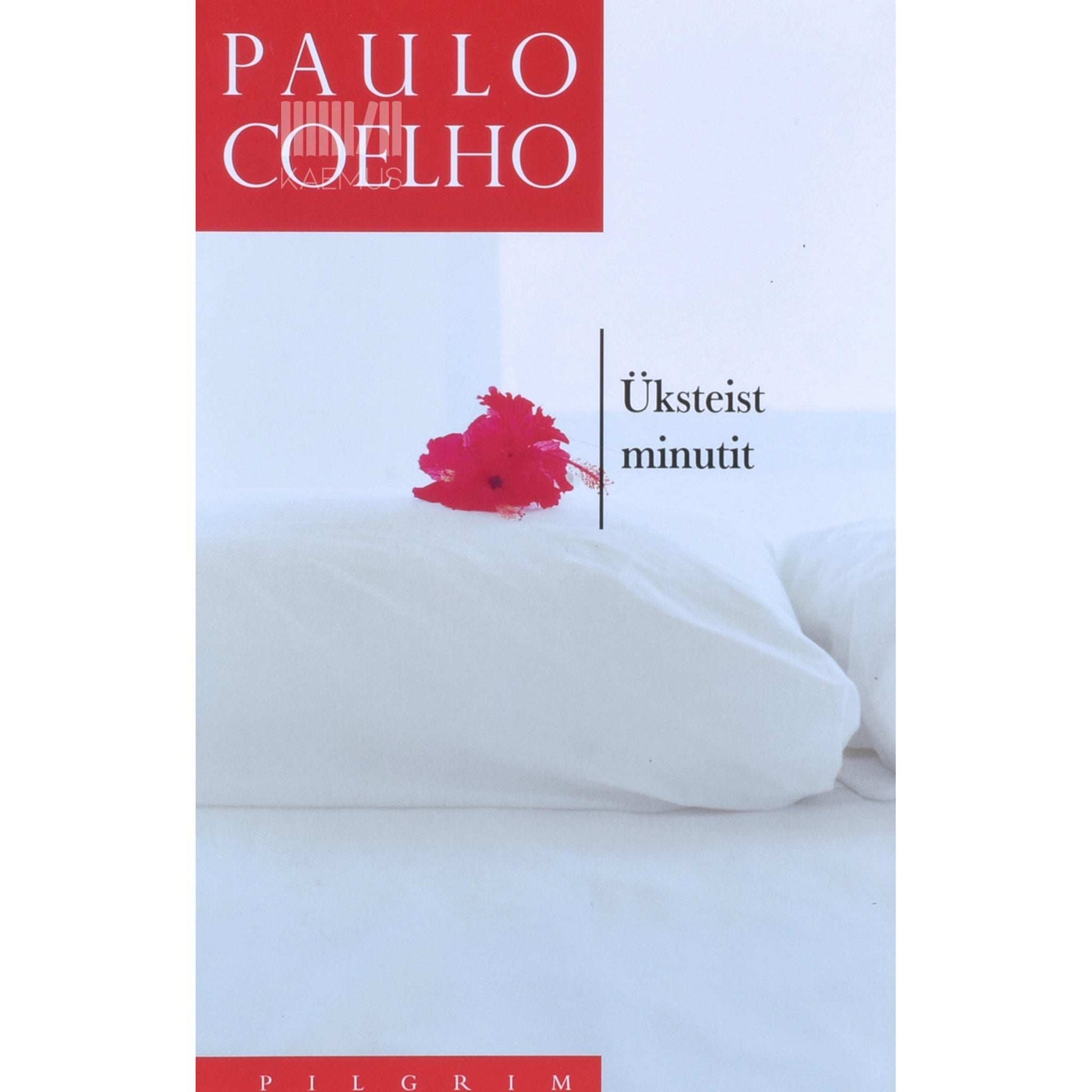Paulo Coelho - Üksteist minutit