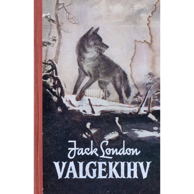 Jack London - Valgekihv