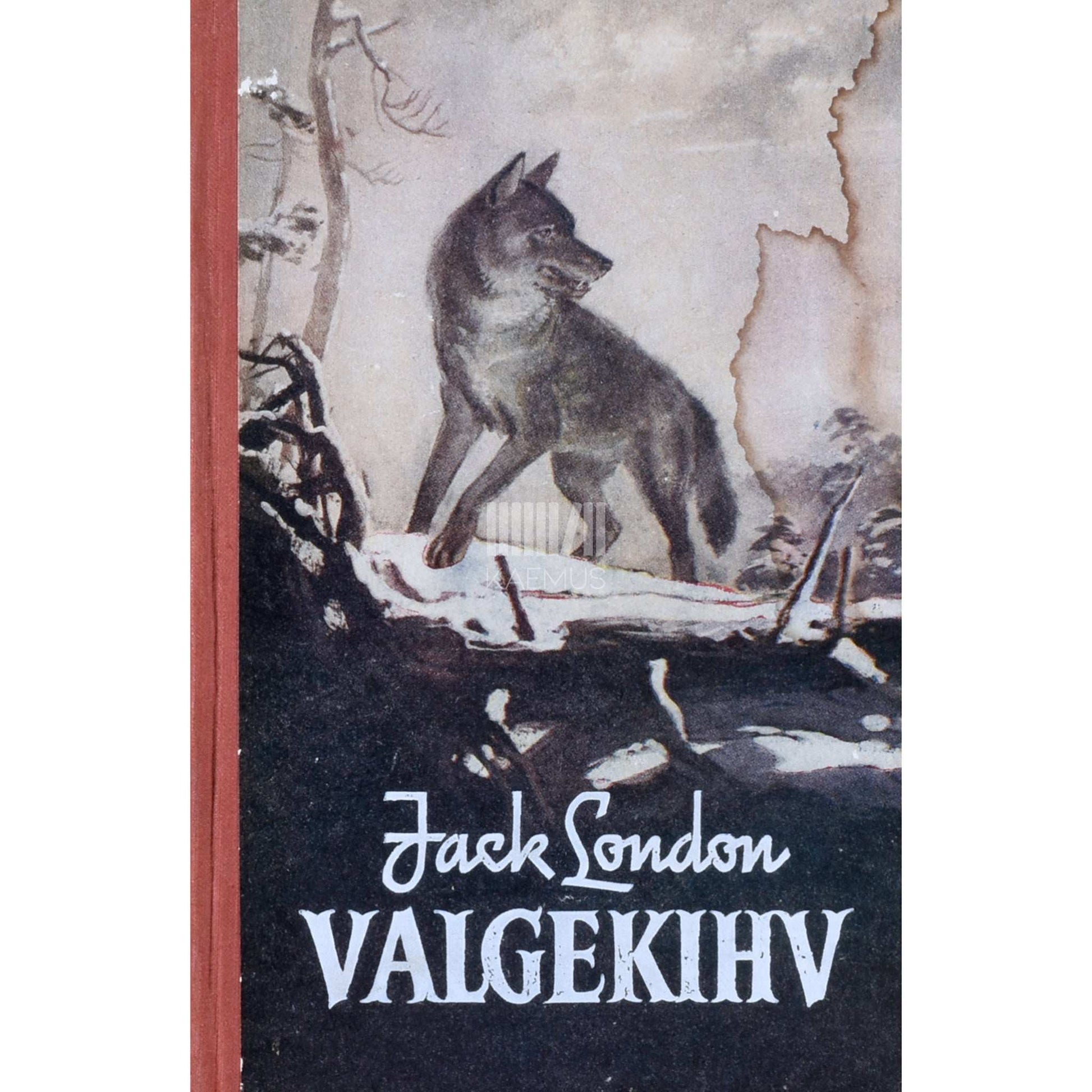 Jack London - Valgekihv