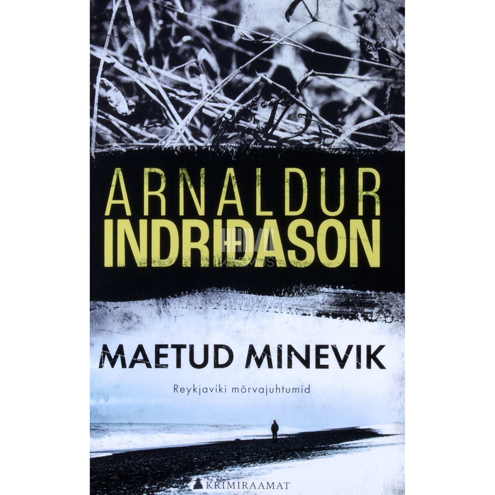 Arnaldur Indriðason - Maetud minevik