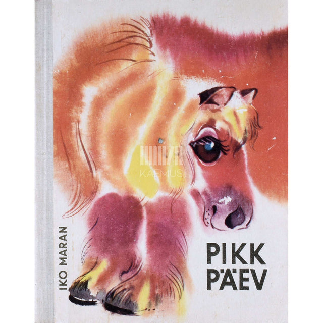 Iko Maran - Pikk päev