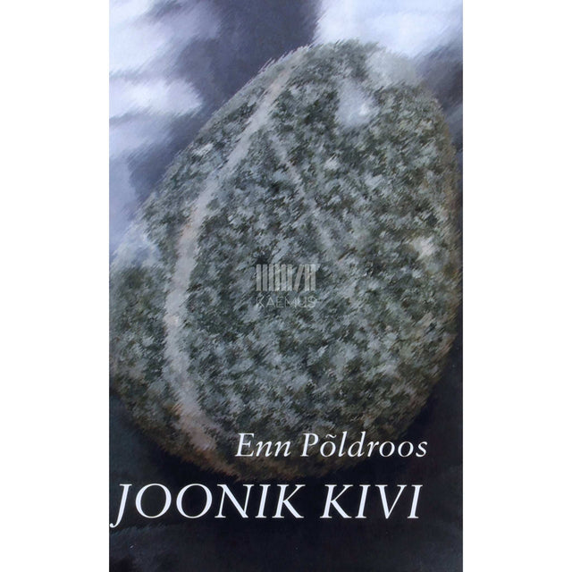 Enn Põldroos - Joonik kivi
