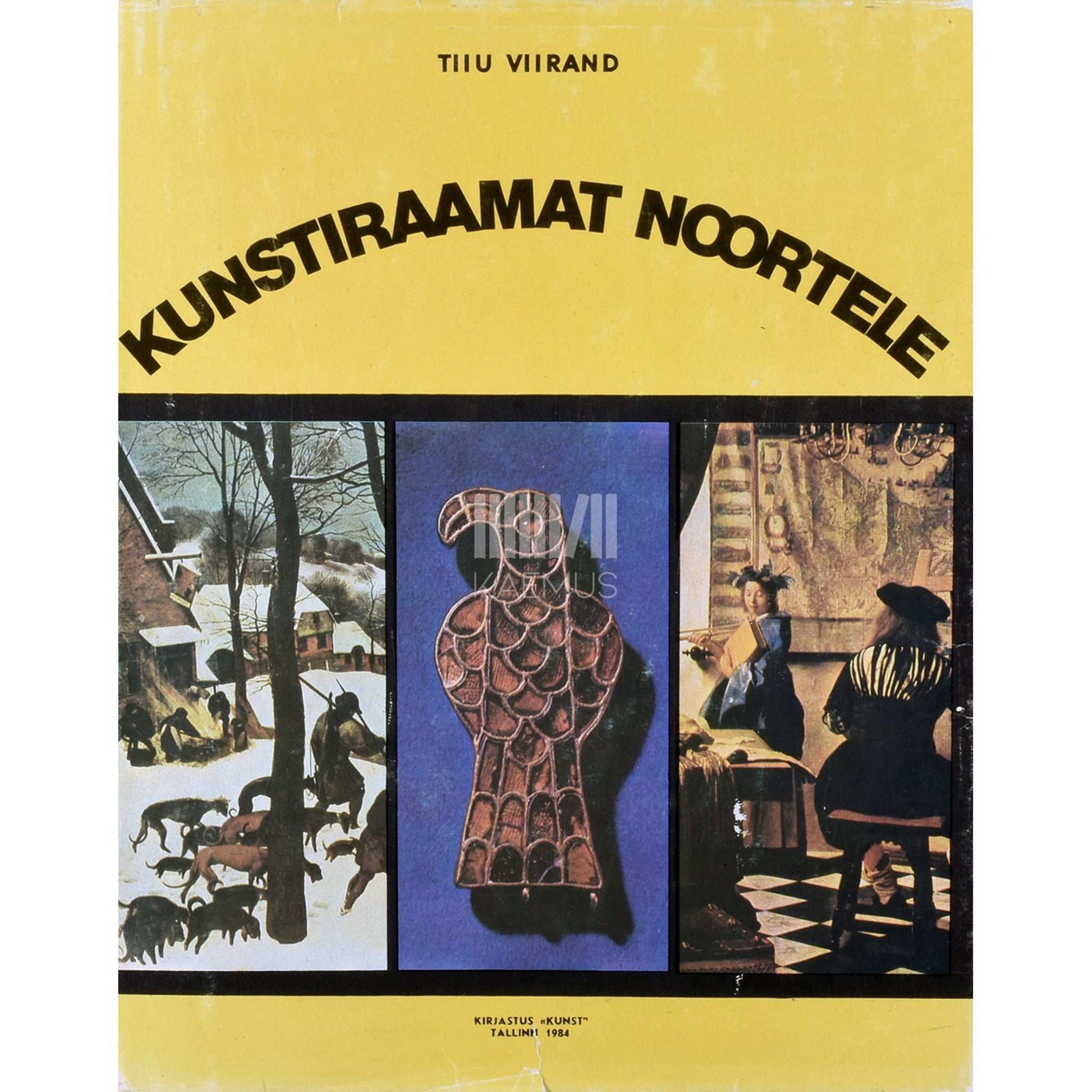 Tiiu Viirand - Kunstiraamat noortele
