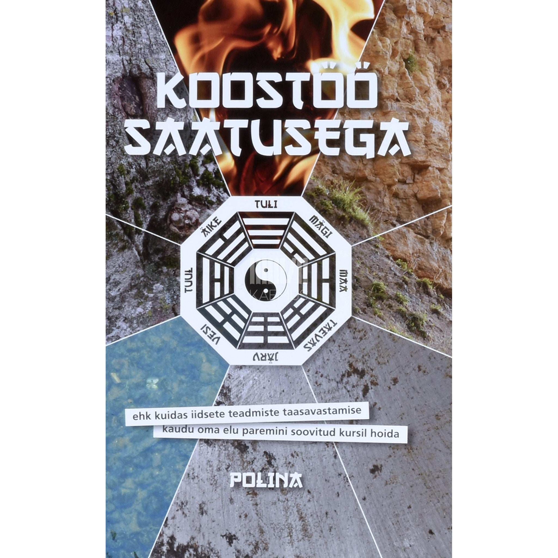 Polina - Koostöö saatusega