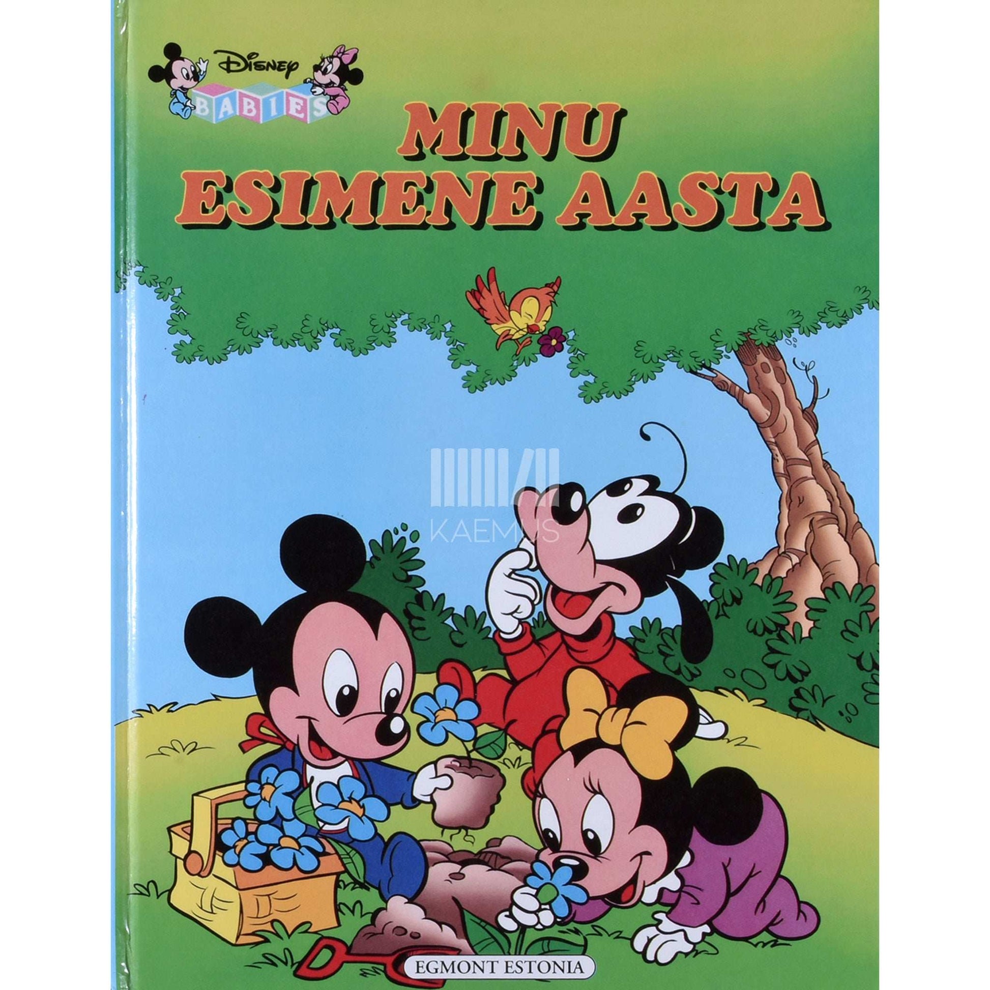 ... - Minu esimene aasta. Lapse esimese eluaasta päevik