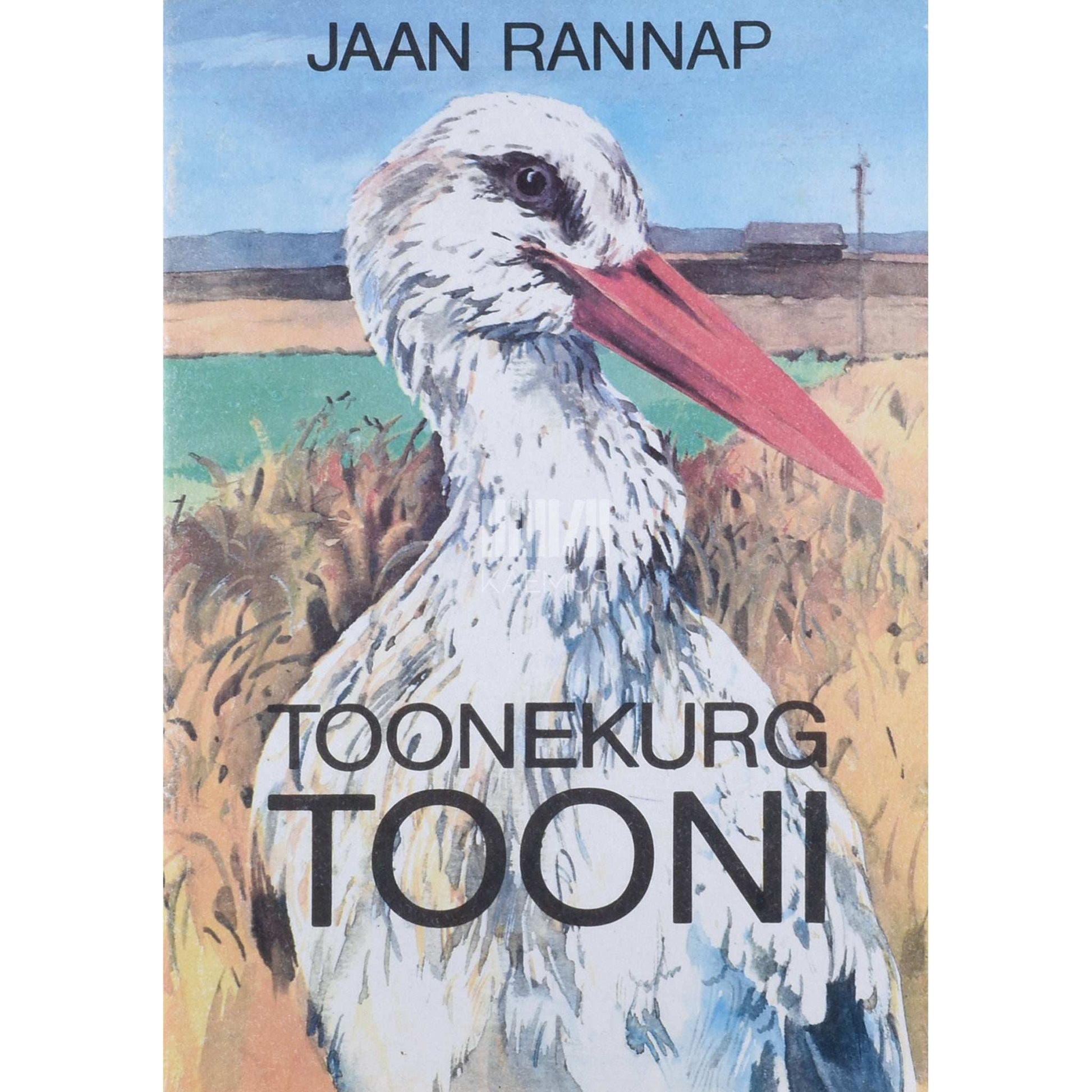 Jaan Rannap - Toonekurg Tooni