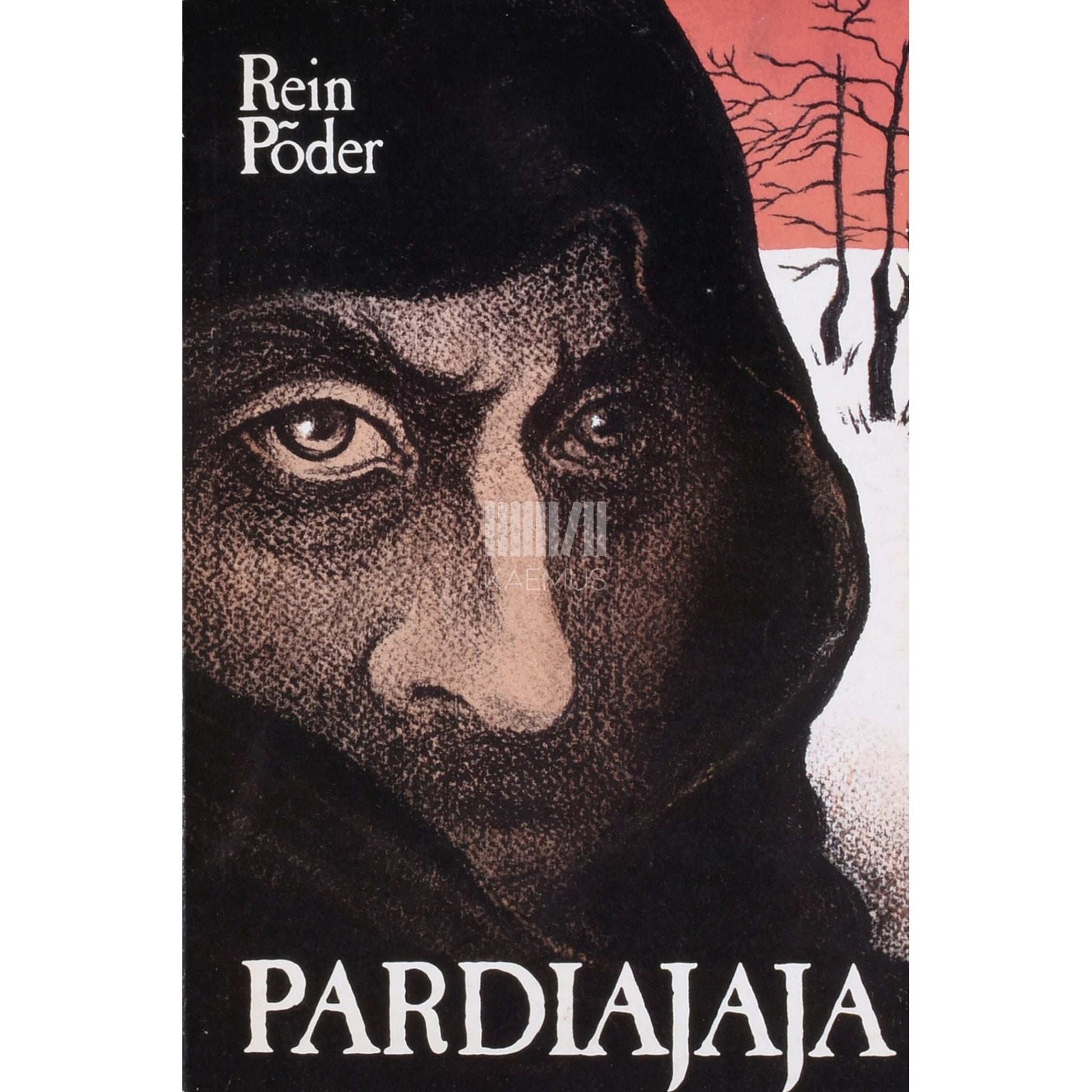 Rein Põder - Pardiajaja. Ballaadromaan