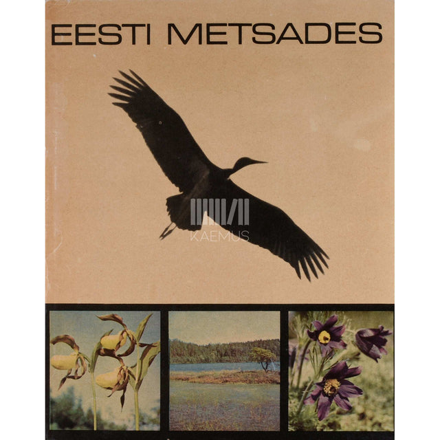 Edgar Kask - Eesti metsades. Fotoalbum