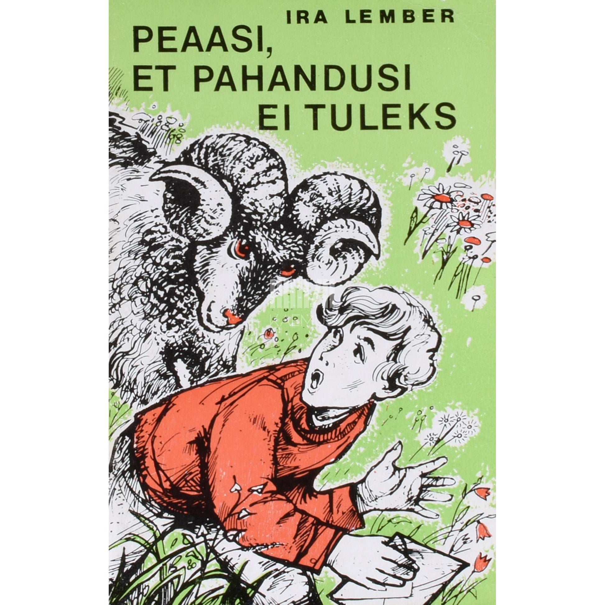 Ira Lember - Peaasi, et pahandusi ei tuleks