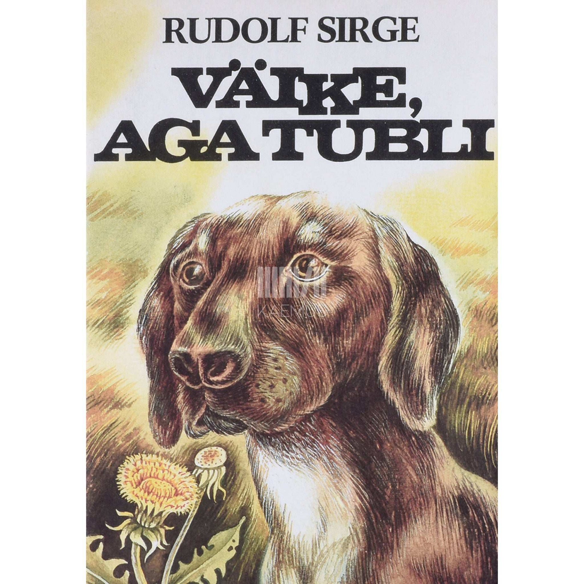 Rudolf Sirge - Väike, aga tubli