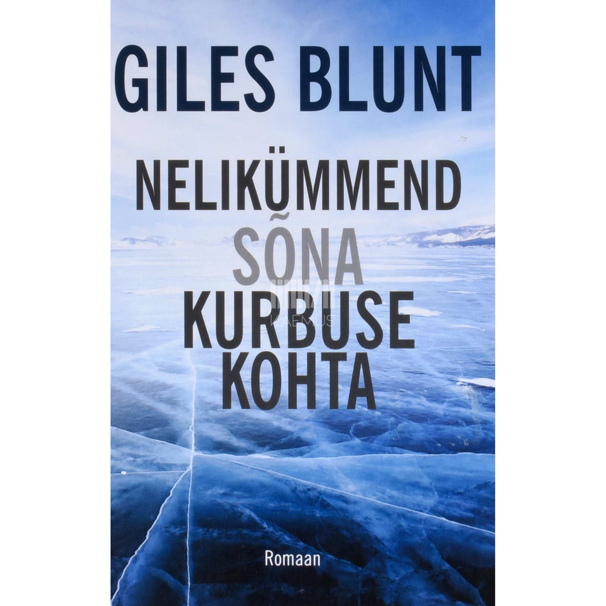 Giles Blunt - Nelikümmend sõna kurbuse kohta