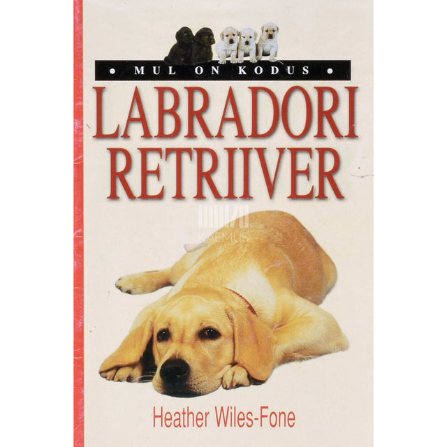 Heather Wiles-Fone - Mul on kodus labradori retriiver