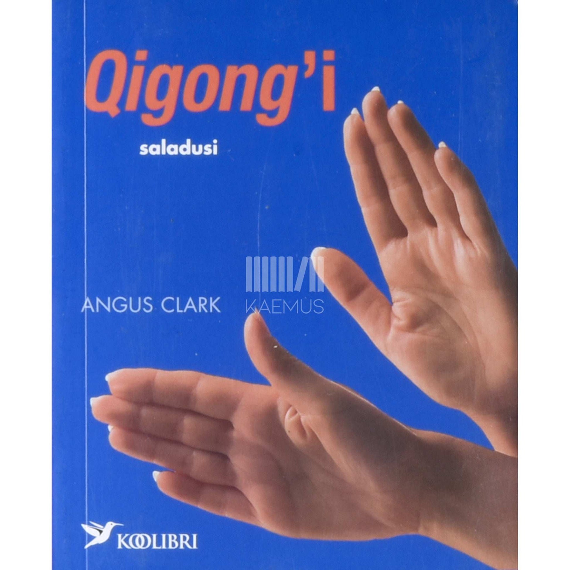 Angus Clark - Qigong'i saladusi