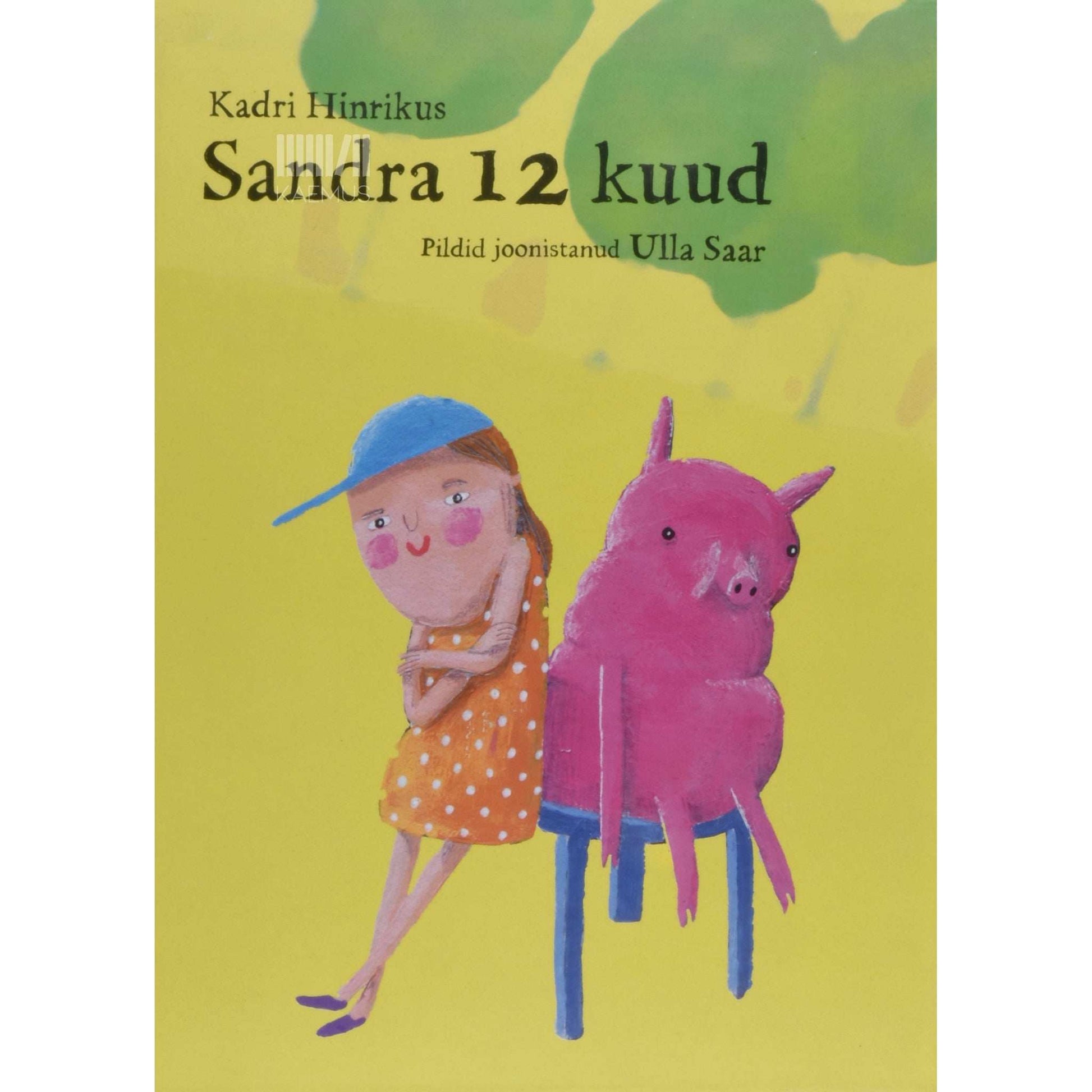 Kadri Hinrikus - Sandra 12 kuud