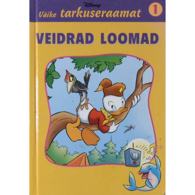 41657