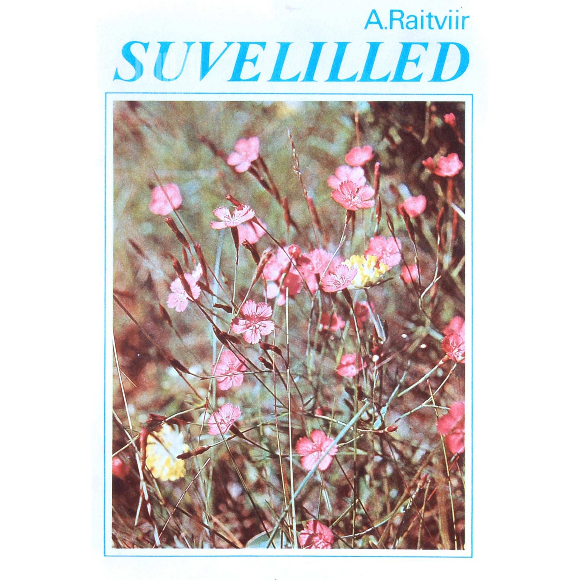 Ain Raitviir - Suvelilled