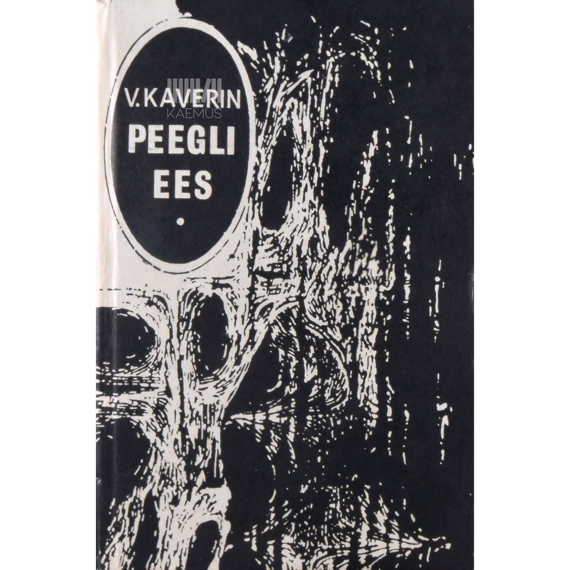 Veniamin Kaverin - Peegli ees. Romaan kirjades
