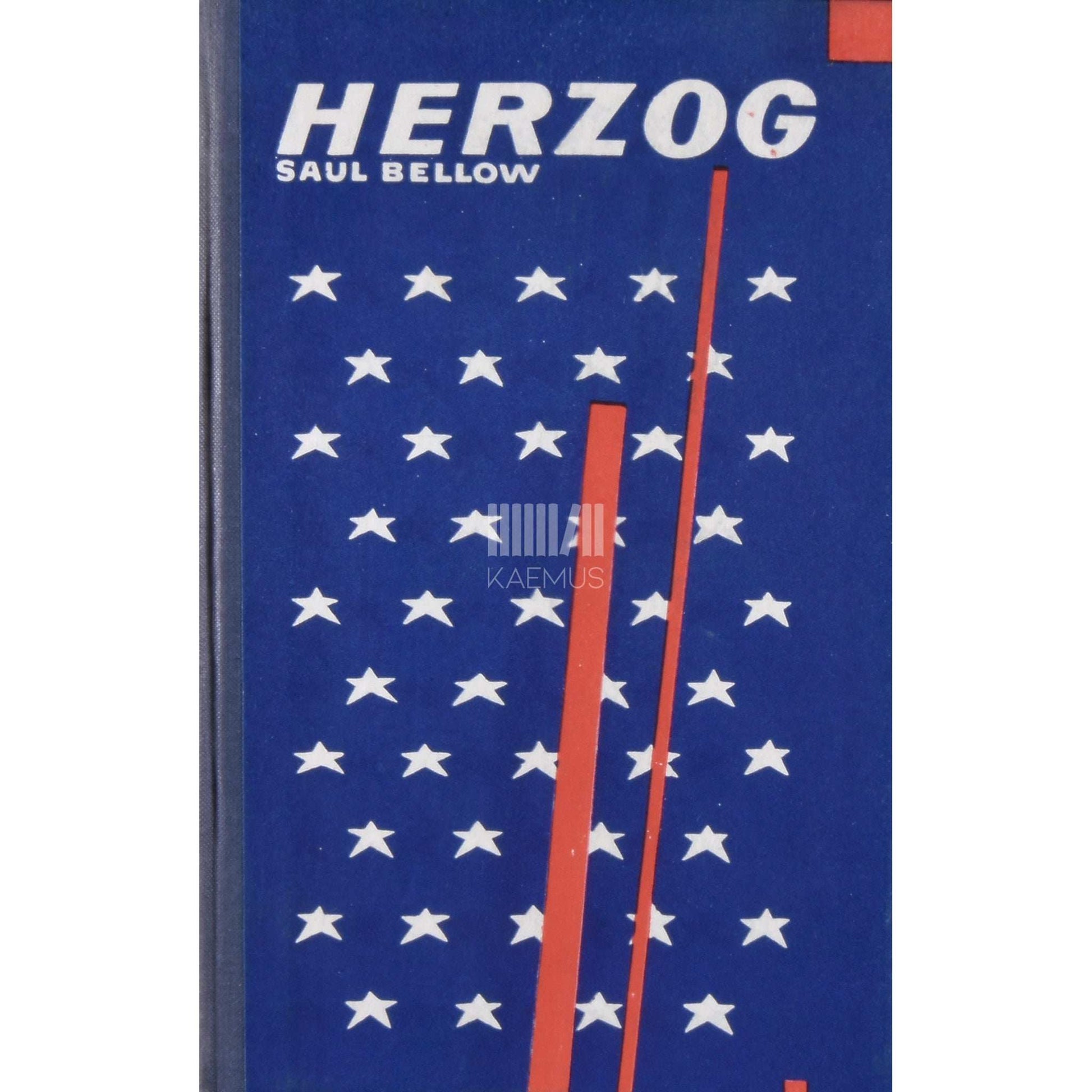 Saul Bellow - Herzog