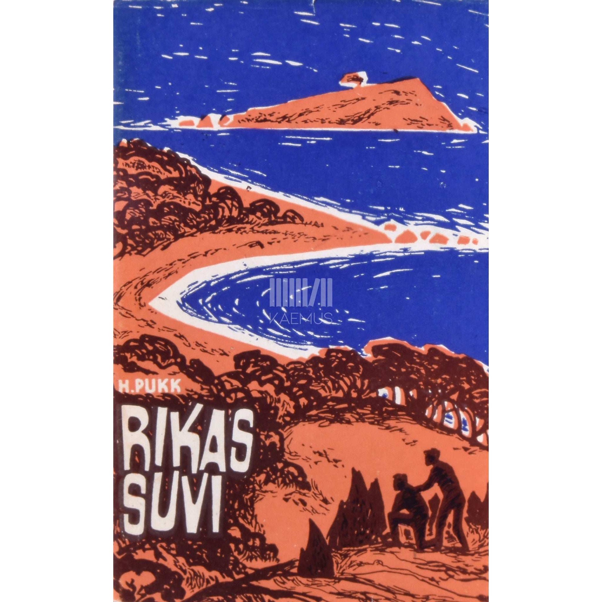 Holger Pukk - Rikas suvi