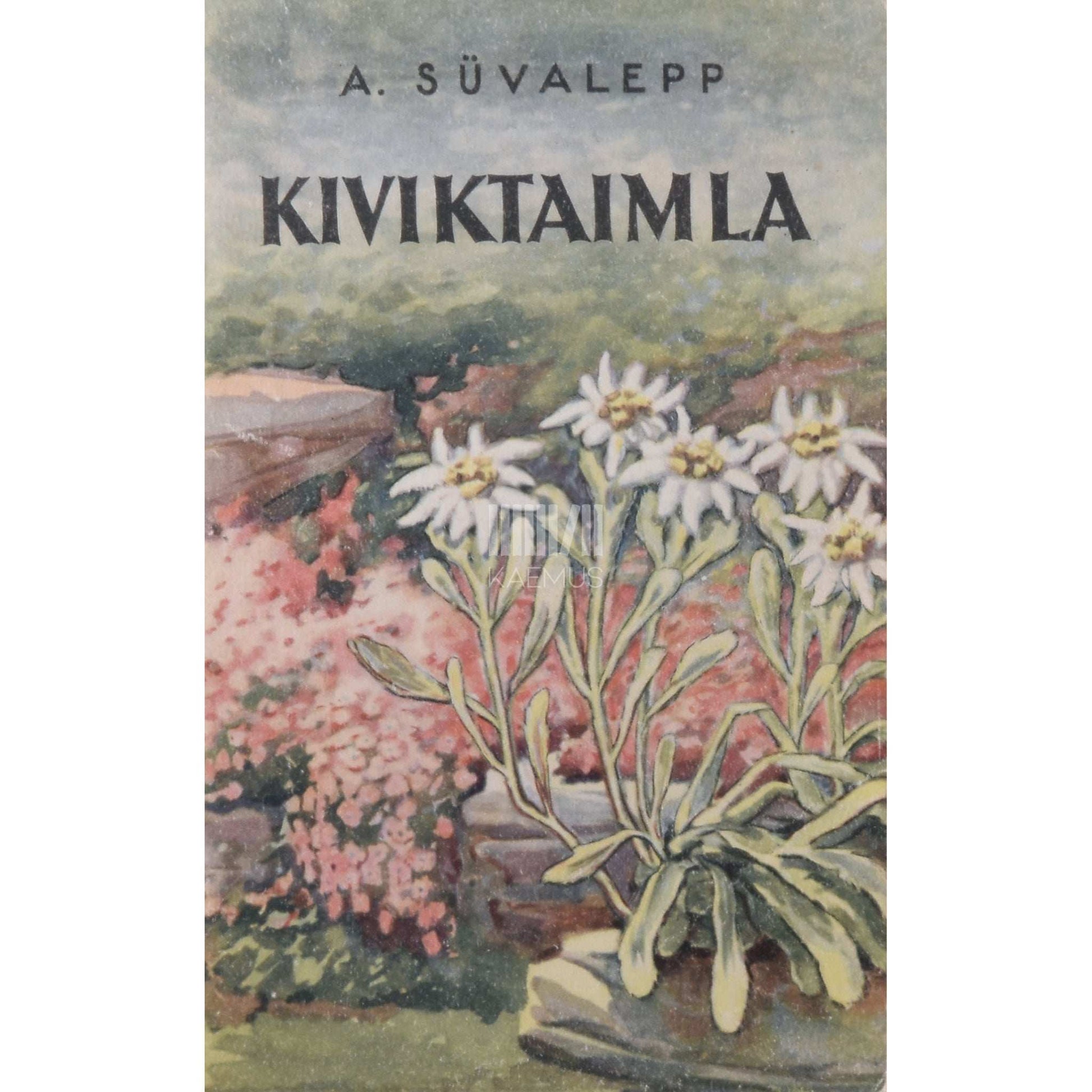 Alli Süvalepp - Kiviktaimla