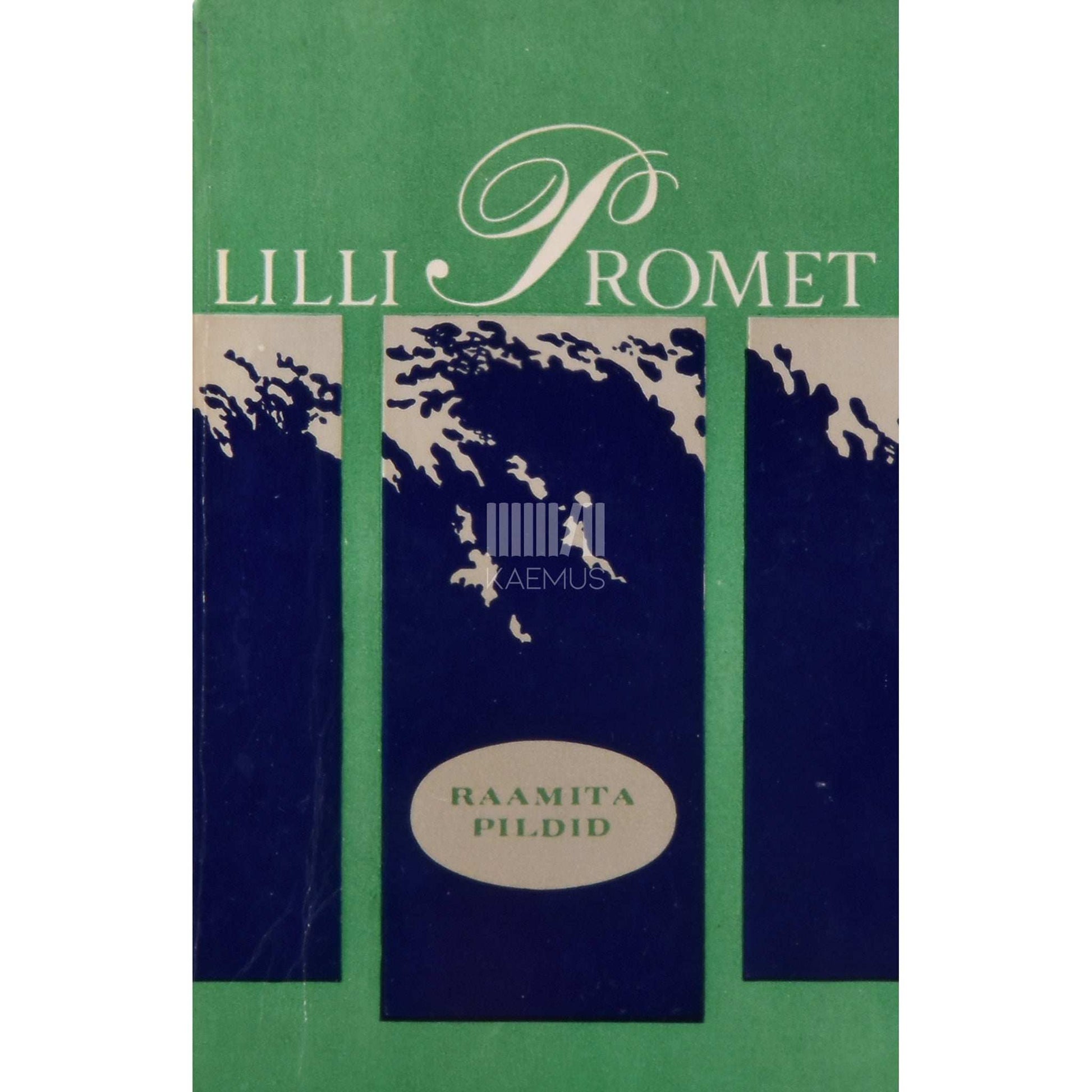 Lilli Promet - Raamita pildid. Publitsistikat