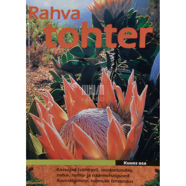 … - Rahvatohter 6. osa