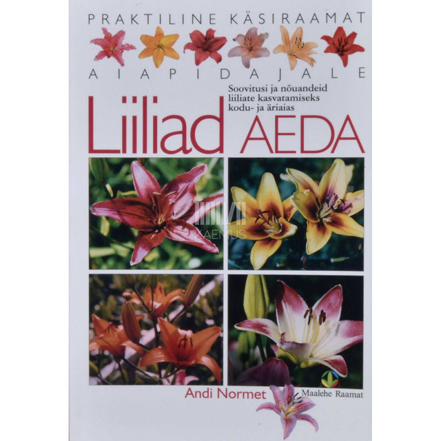 Andi Normet - Liiliad aeda