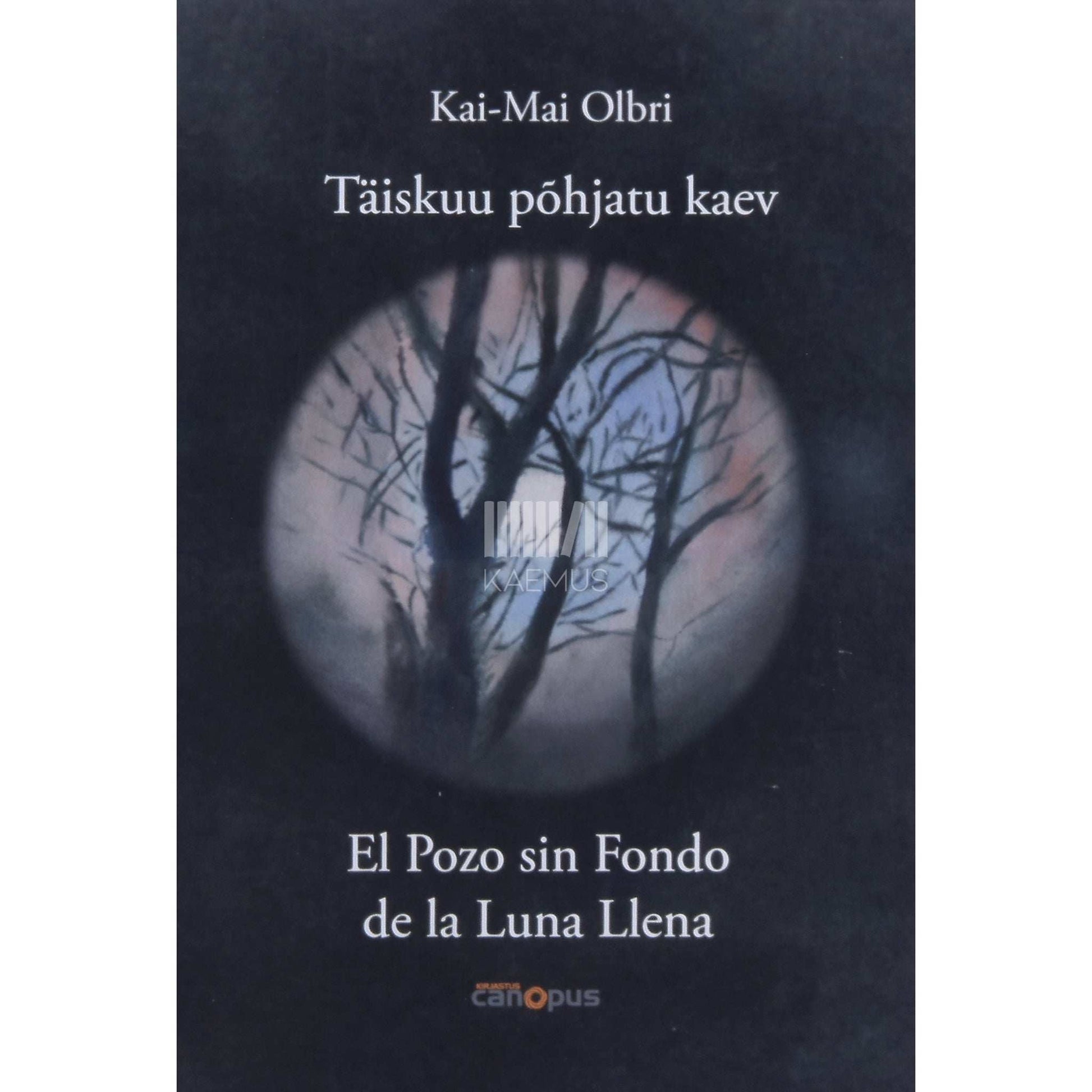 Kai-Mai Olbri - Täiskuu põhjatu kaev