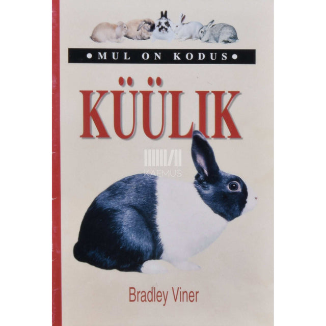 Bradley Viner - Mul on kodus küülik