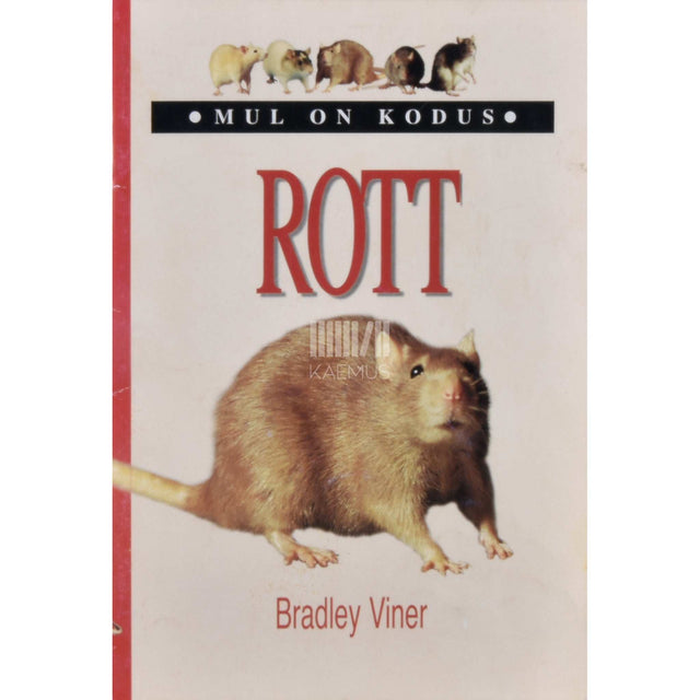Bradley Viner - Mul on kodus rott