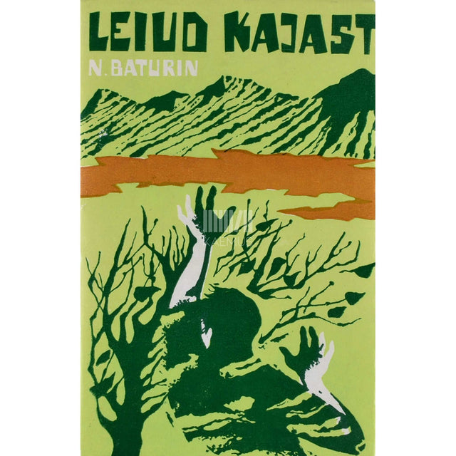 Nikolai Baturin - Leiud kajast