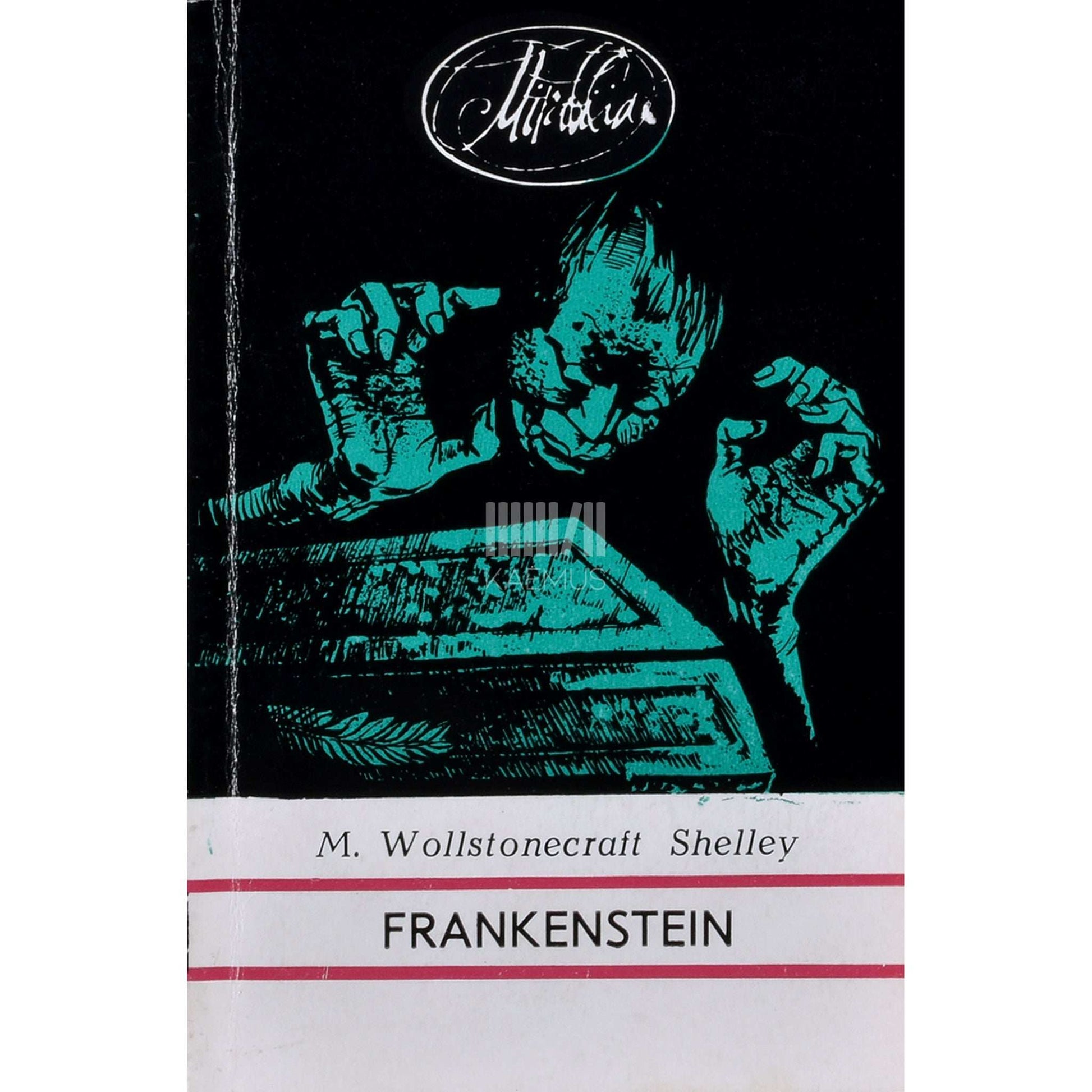 Mary Shelley - Frankenstein ehk moodne Prometheus