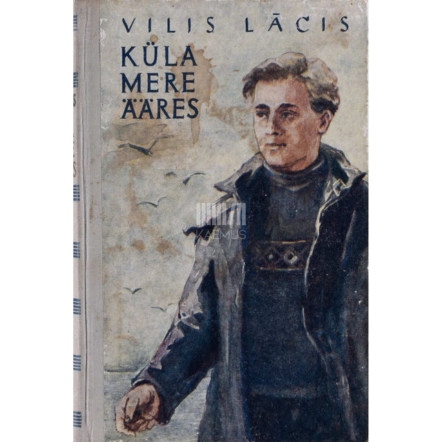 Vilis Lâcis - Küla mere ääres