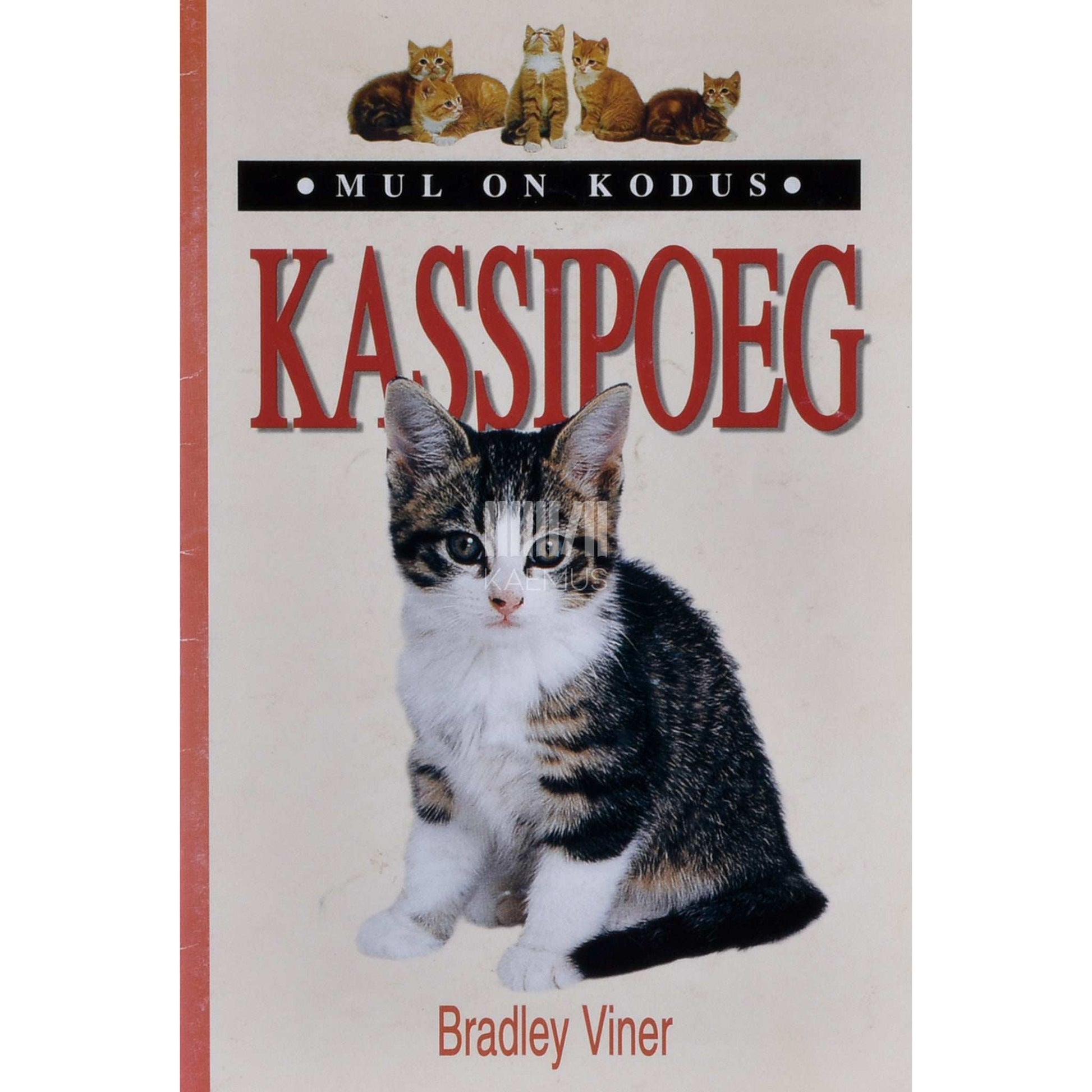Bradley Viner - Mul on kodus kassipoeg